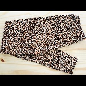 Animal print leggings